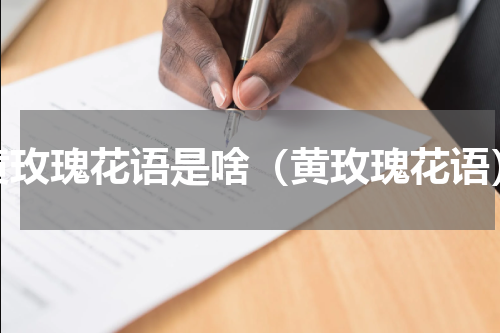 黄玫瑰花语是啥（黄玫瑰花语）