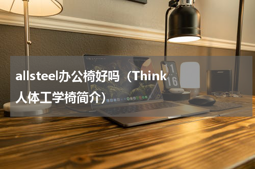 allsteel办公椅好吗（Think人体工学椅简介）