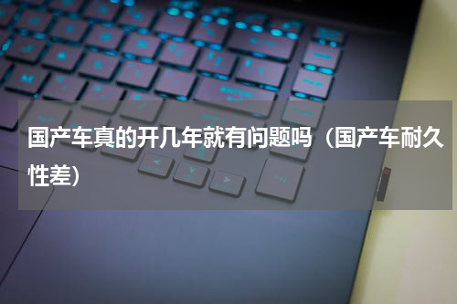 国产车真的开几年就有问题吗（国产车耐久性差）