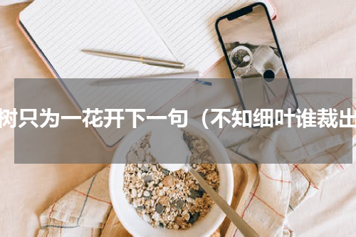 一树只为一花开下一句（不知细叶谁裁出）