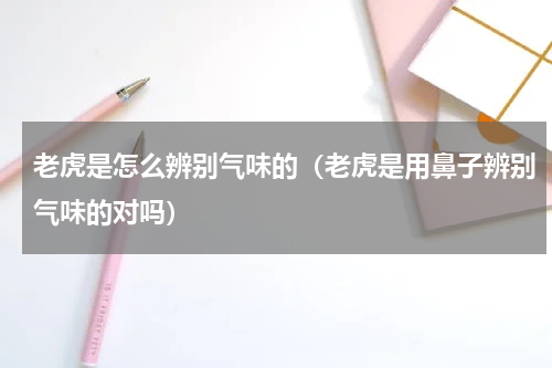 老虎是怎么辨别气味的（老虎是用鼻子辨别气味的对吗）