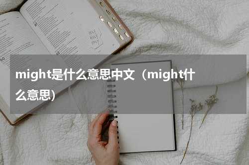 might是什么意思中文（might什么意思）
