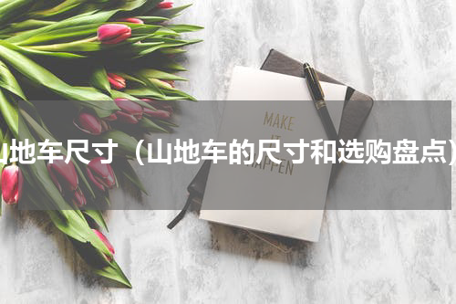 山地车尺寸（山地车的尺寸和选购盘点）