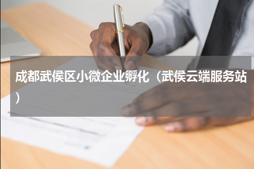 成都武侯区小微企业孵化（武侯云端服务站）