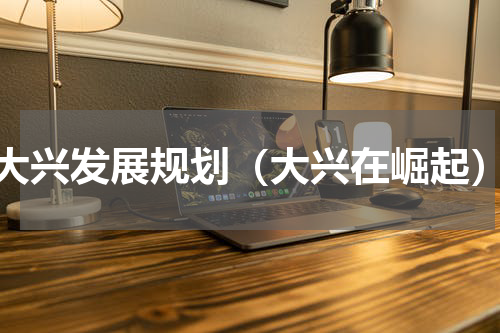 大兴发展规划（大兴在崛起）