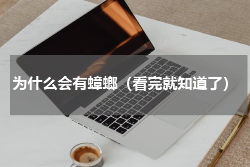 为什么会有蟑螂（看完就知道了）