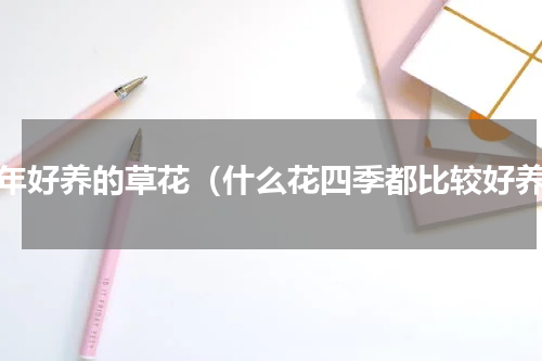 长年好养的草花（什么花四季都比较好养）