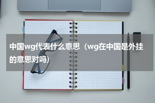 中国wg代表什么意思（wg在中国是外挂的意思对吗）
