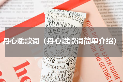 丹心赋歌词（丹心赋歌词简单介绍）