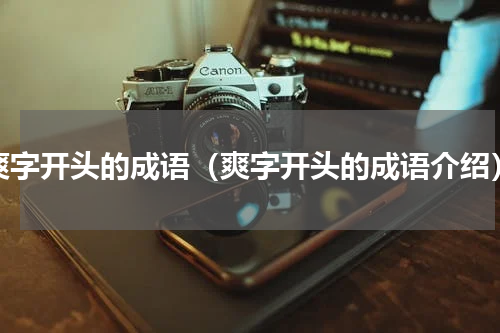 爽字开头的成语（爽字开头的成语介绍）