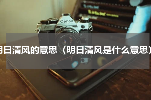 明日清风的意思（明日清风是什么意思）