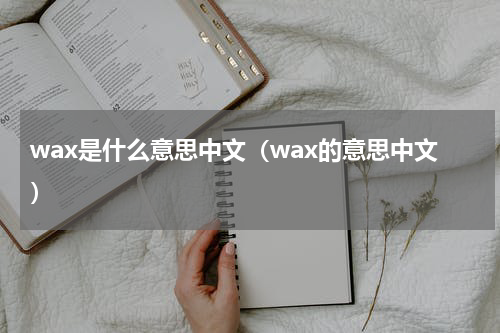 wax是什么意思中文（wax的意思中文）