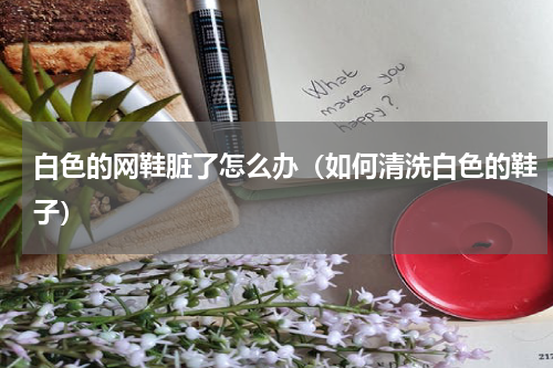 白色的网鞋脏了怎么办（如何清洗白色的鞋子）