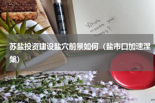 苏盐投资建设盐穴前景如何（盐市口加速涅槃）