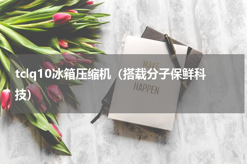 tclq10冰箱压缩机（搭载分子保鲜科技）