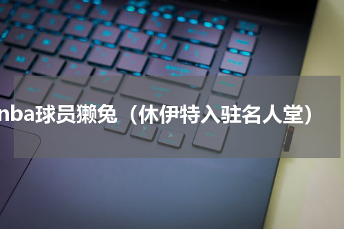 nba球员獭兔（休伊特入驻名人堂）