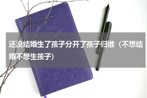 还没结婚生了孩子分开了孩子归谁（不想结婚不想生孩子）