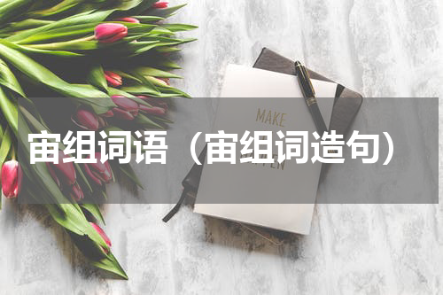 宙组词语（宙组词造句）