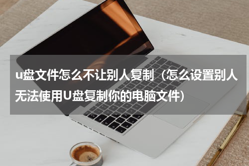 u盘文件怎么不让别人复制（怎么设置别人无法使用U盘复制你的电脑文件）