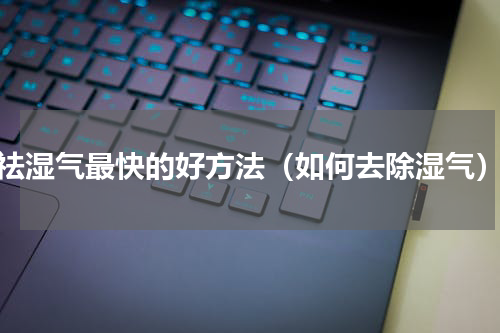 祛湿气最快的好方法（如何去除湿气）