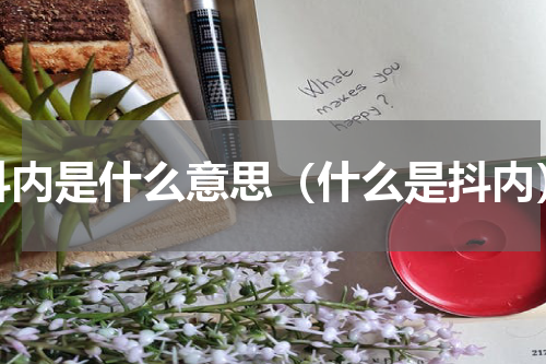 抖内是什么意思（什么是抖内）