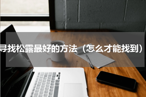寻找松露最好的方法（怎么才能找到）