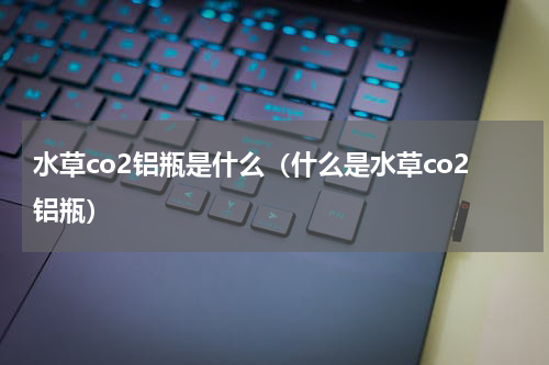 水草co2铝瓶是什么（什么是水草co2铝瓶）