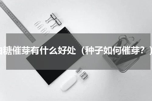 白糖催芽有什么好处（种子如何催芽？）
