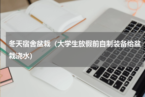 冬天宿舍盆栽（大学生放假前自制装备给盆栽浇水）
