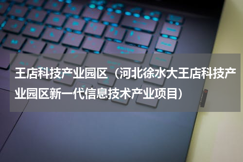 王店科技产业园区（河北徐水大王店科技产业园区新一代信息技术产业项目）