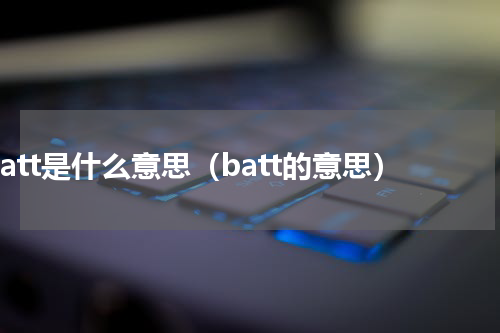 batt是什么意思（batt的意思）