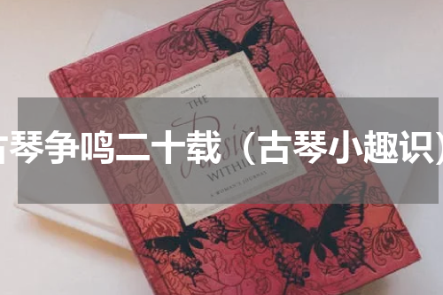 古琴争鸣二十载（古琴小趣识）