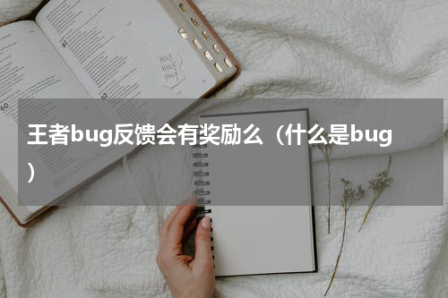 王者bug反馈会有奖励么（什么是bug）