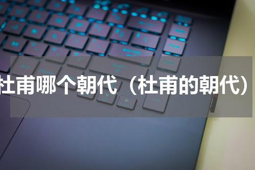杜甫哪个朝代（杜甫的朝代）