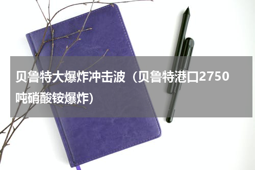贝鲁特大爆炸冲击波（贝鲁特港口2750吨硝酸铵爆炸）