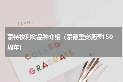 蒙特梭利树品种介绍（蒙德里安诞辰150周年）