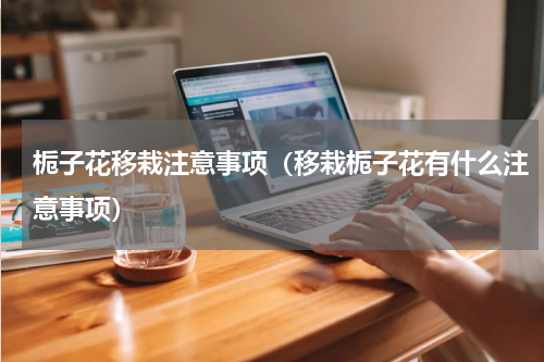 栀子花移栽注意事项（移栽栀子花有什么注意事项）