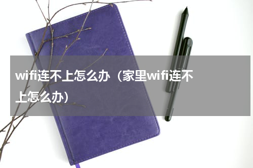 wifi连不上怎么办（家里wifi连不上怎么办）