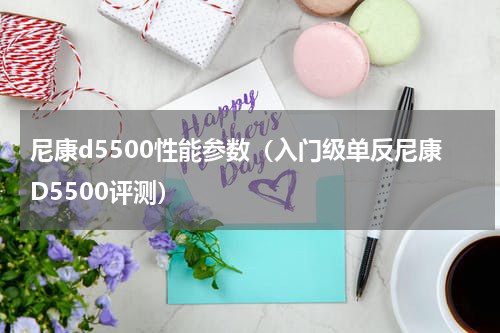 尼康d5500性能参数（入门级单反尼康D5500评测）