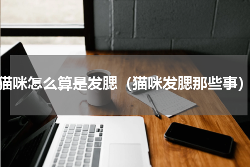 猫咪怎么算是发腮（猫咪发腮那些事）