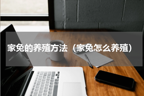 家兔的养殖方法（家兔怎么养殖）
