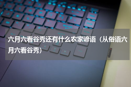 六月六看谷秀还有什么农家谚语（从俗语六月六看谷秀）