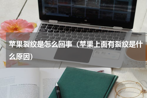 苹果裂纹是怎么回事（苹果上面有裂纹是什么原因）