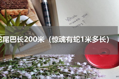 蛇尾巴长200米（惊魂有蛇1米多长）