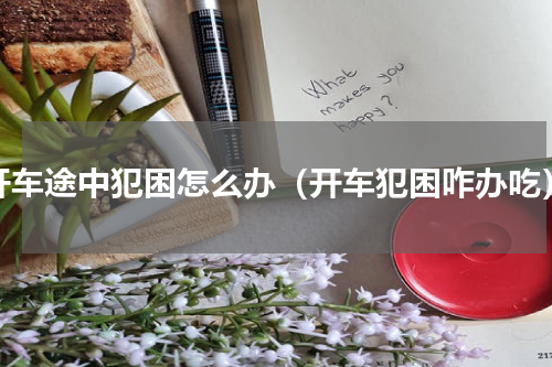 开车途中犯困怎么办（开车犯困咋办吃）