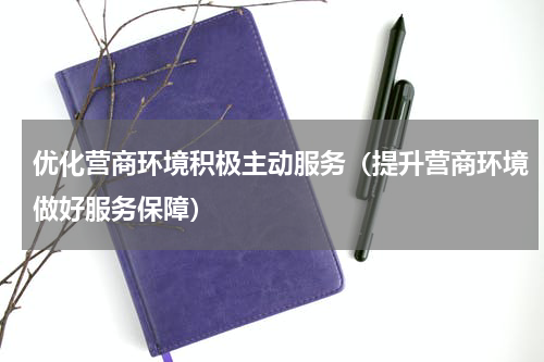 优化营商环境积极主动服务（提升营商环境做好服务保障）