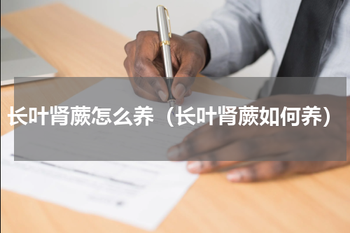 长叶肾蕨怎么养（长叶肾蕨如何养）