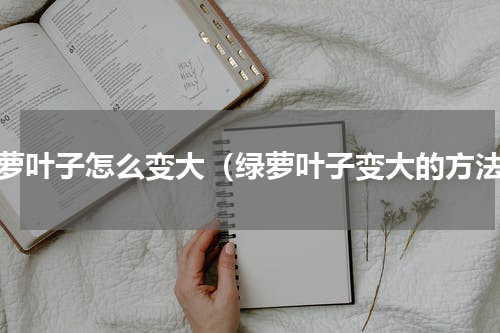绿萝叶子怎么变大（绿萝叶子变大的方法）