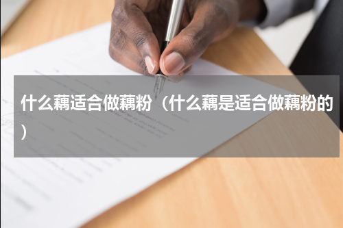 什么藕适合做藕粉（什么藕是适合做藕粉的）