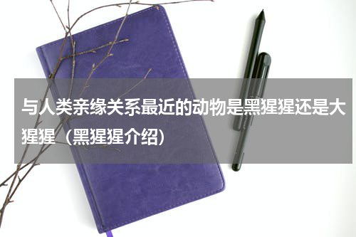 与人类亲缘关系最近的动物是黑猩猩还是大猩猩（黑猩猩介绍）